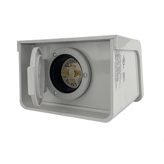 Reliance Controls Corporation PBN20 20 Amp NEMA 3R Power Inlet Box for Generators Up to 5,000 Running Watts