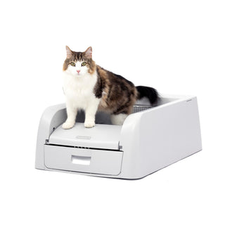 PetSafe ScoopFree Clumping Self-Cleaning Litter Box for Clumping Litter Superior Odor Control for Single and Multi-Cat Households