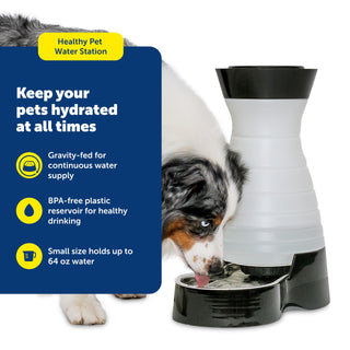 PetSafe Healthy Pet Water Station - Small, 64 oz Capacity - Gravity Pet Water Fountain, Automatic Cat Water Fountain, Dog Water Fountain, Water Dispenser - Removable Stainless Steel Bowl Included