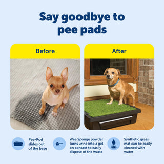 PetSafe Pet Loo Portable Dog Potty,Toilet Alternative for Puppy Pads, Perfect for House Training, Easy-to-Clean Grass Mat, Large