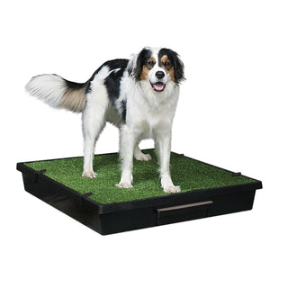 PetSafe Pet Loo Portable Dog Potty,Toilet Alternative for Puppy Pads, Perfect for House Training, Easy-to-Clean Grass Mat, Large