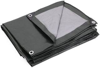 Kotap 20 x 25 Ft. Heavy-Duty Protection/Coverage Tarp, 8-mil, Reversible, Multi-Use, Waterproof, Green-Silver, (TGS-2025)