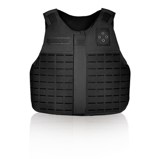 [RSK] Replacement Strap Kit for [LPC] Low Profile Concealable Carrier