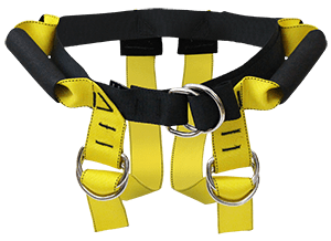 Doty Belt Medium