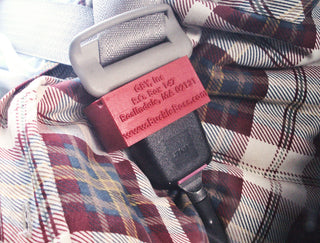 Buckle Boss Police