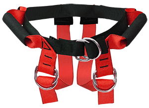 Doty Belt Large